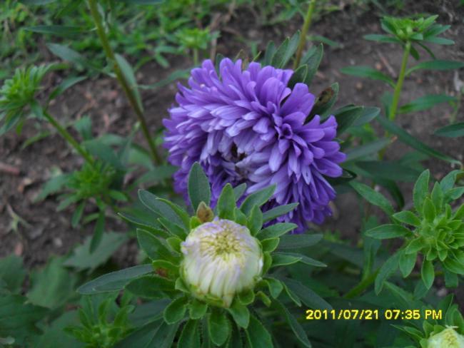 Name:  110.jpg
Views: 992
Size:  45.5 KB