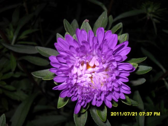 Name:  114.jpg
Views: 1056
Size:  37.1 KB