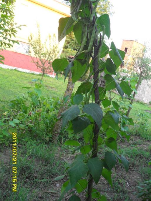 Name:  048.jpg
Views: 745
Size:  70.1 KB