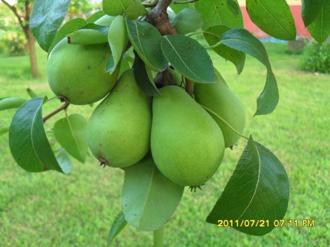 Name:  028.jpg
Views: 742
Size:  44.5 KB