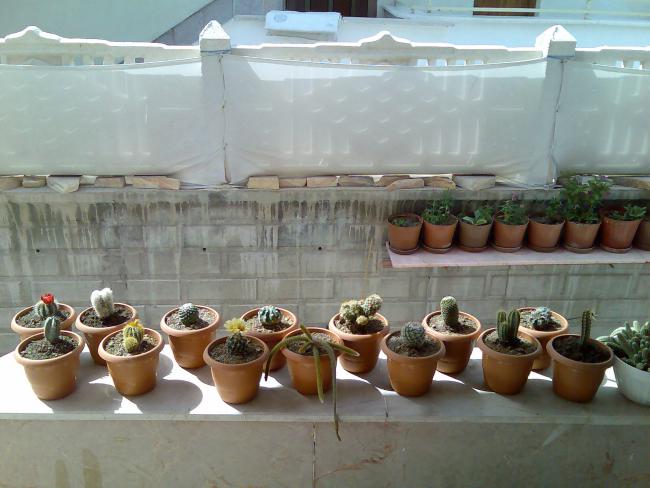 Name:  Grnt183.jpg
Views: 844
Size:  46.2 KB