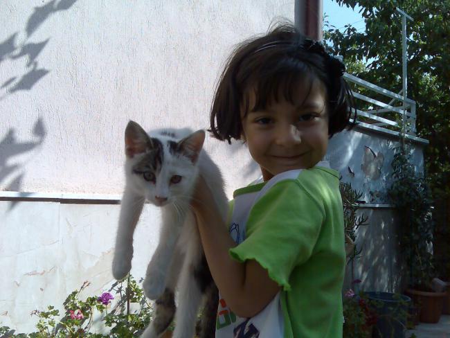 Name:  Grnt187.jpg
Views: 811
Size:  51.1 KB