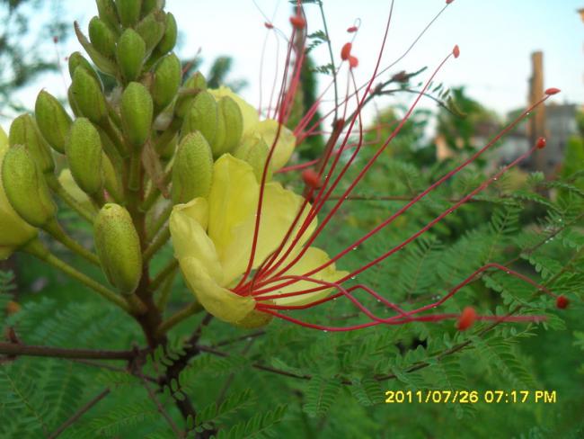 Name:  032.jpg
Views: 951
Size:  46.2 KB