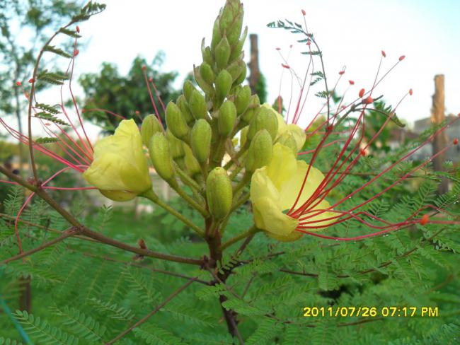 Name:  033.jpg
Views: 932
Size:  52.6 KB