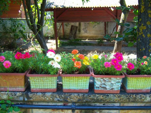 Name:  100_2270.jpg
Views: 343
Size:  67.3 KB