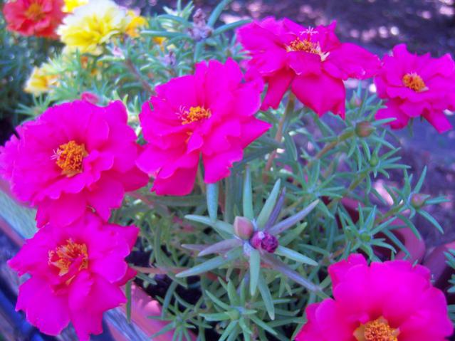 Name:  100_2275.jpg
Views: 355
Size:  48.1 KB