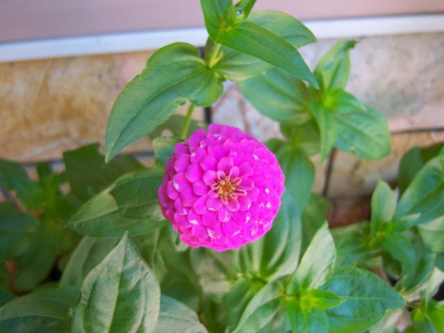 Name:  100_2282.jpg
Views: 352
Size:  35.4 KB