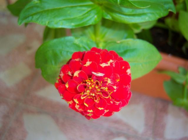 Name:  100_2284.jpg
Views: 347
Size:  30.0 KB