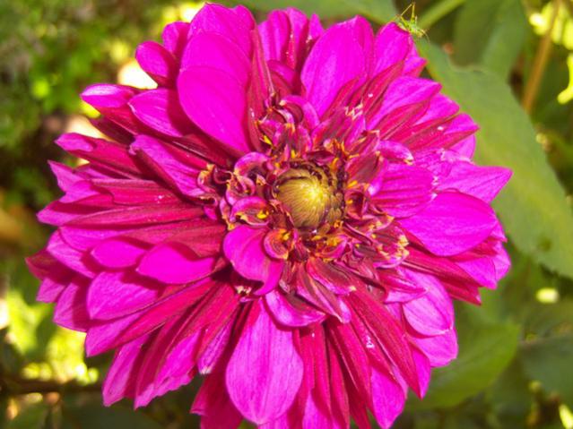 Name:  100_2312.jpg
Views: 351
Size:  52.0 KB