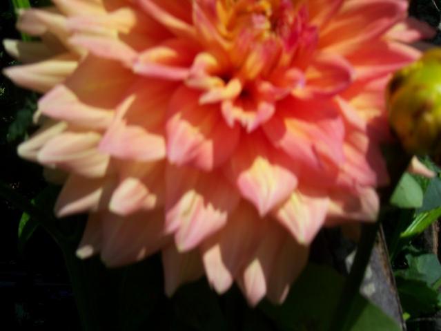 Name:  100_2362.jpg
Views: 417
Size:  28.6 KB