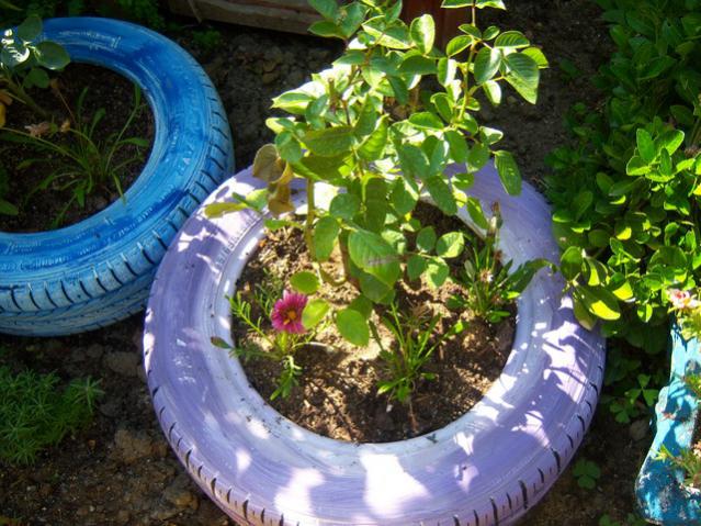 Name:  100_2369.jpg
Views: 420
Size:  68.8 KB