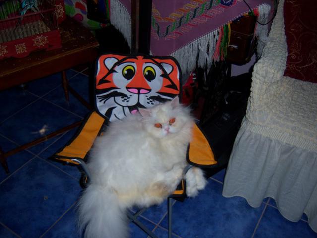 Name:  100_2398.jpg
Views: 444
Size:  37.9 KB