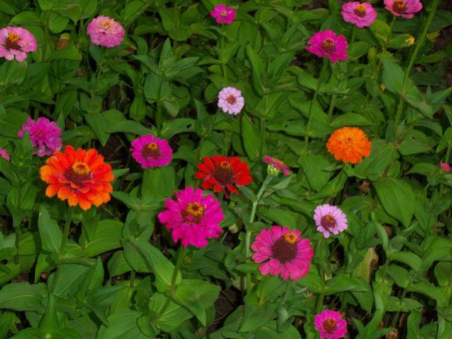 Name:  100_2412.jpg
Views: 445
Size:  52.4 KB