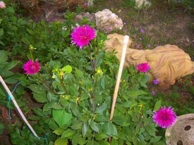 Name:  100_2417.jpg
Views: 456
Size:  65.7 KB