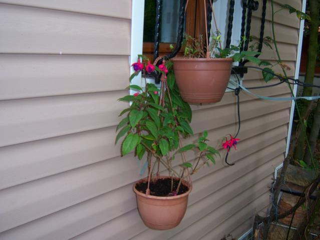 Name:  100_2421.jpg
Views: 413
Size:  35.8 KB