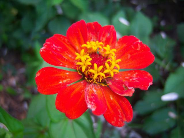 Name:  100_2436.jpg
Views: 428
Size:  33.8 KB