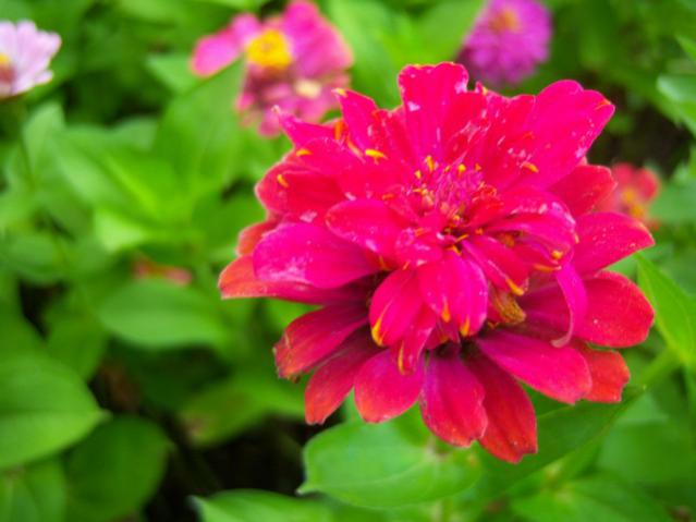 Name:  100_2441.jpg
Views: 470
Size:  34.2 KB