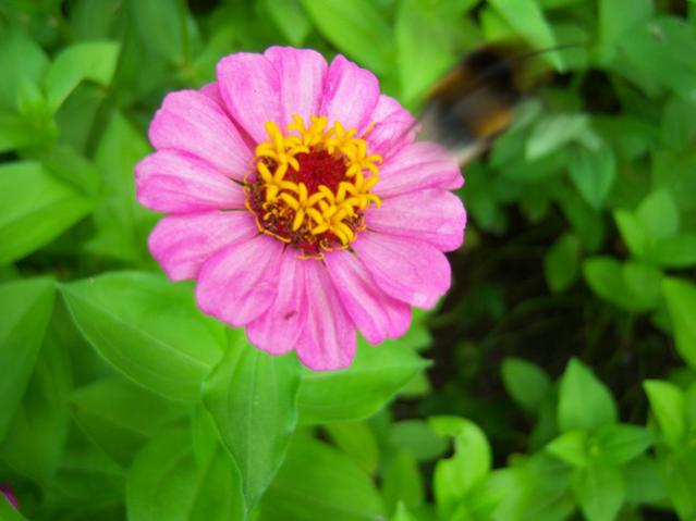 Name:  100_2443.jpg
Views: 443
Size:  32.9 KB