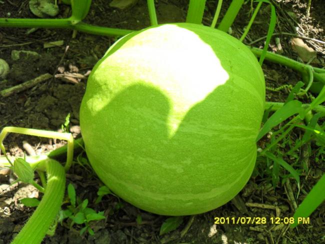 Name:  012.jpg
Views: 656
Size:  54.7 KB