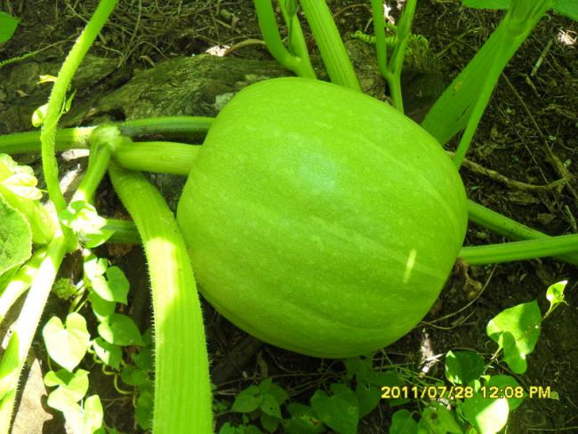 Name:  009.jpg
Views: 609
Size:  60.2 KB