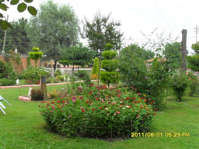 Name:  019.jpg
Views: 605
Size:  70.1 KB