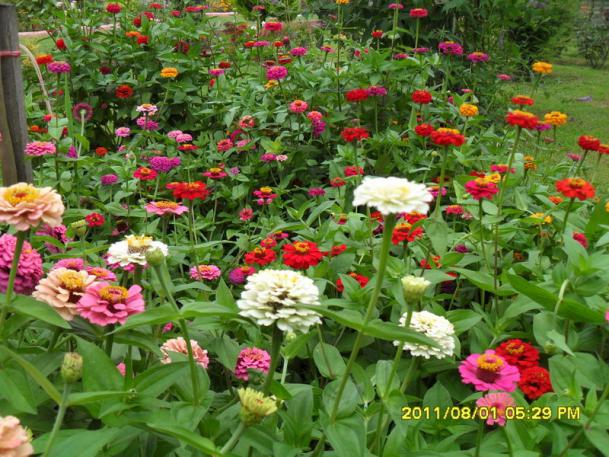Name:  015.jpg
Views: 611
Size:  72.4 KB