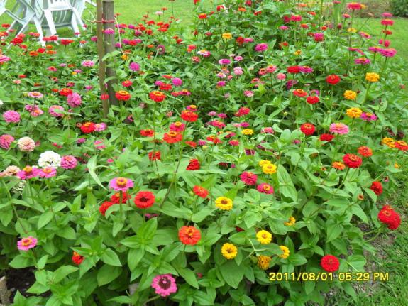 Name:  017.jpg
Views: 617
Size:  73.0 KB