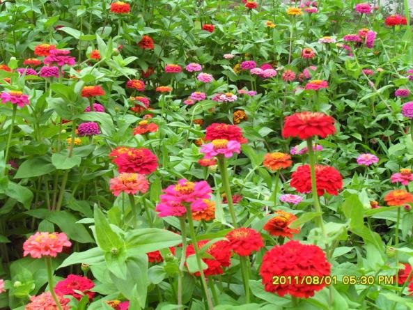 Name:  021.jpg
Views: 605
Size:  73.0 KB