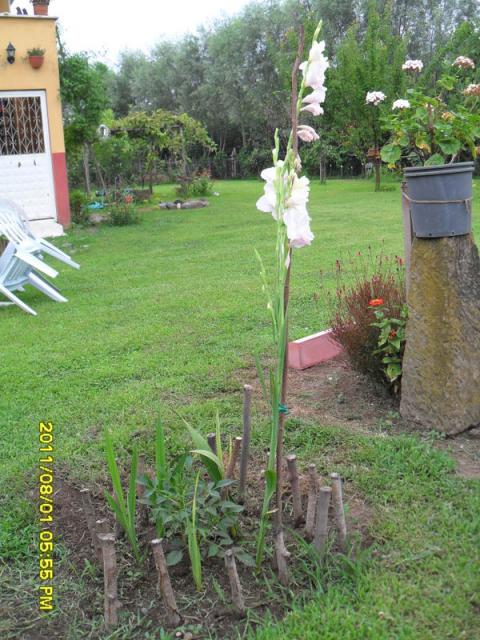 Name:  113.jpg
Views: 561
Size:  69.8 KB