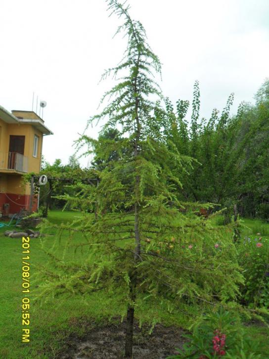Name:  103.jpg
Views: 939
Size:  68.8 KB