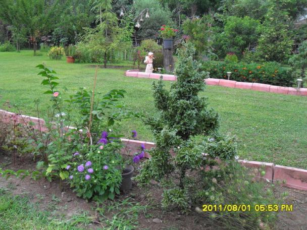 Name:  108.jpg
Views: 905
Size:  70.4 KB