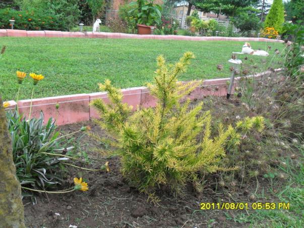 Name:  106.jpg
Views: 883
Size:  71.6 KB