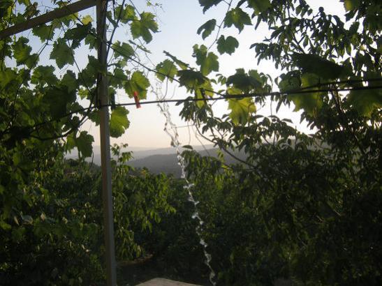 Name:  bahe2.jpg
Views: 1474
Size:  49.9 KB