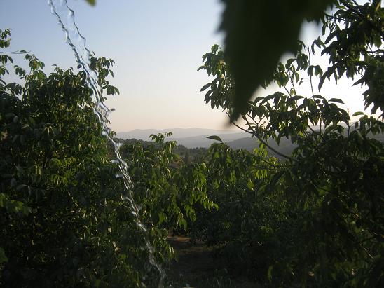 Name:  bahe3.JPG
Views: 1461
Size:  59.2 KB