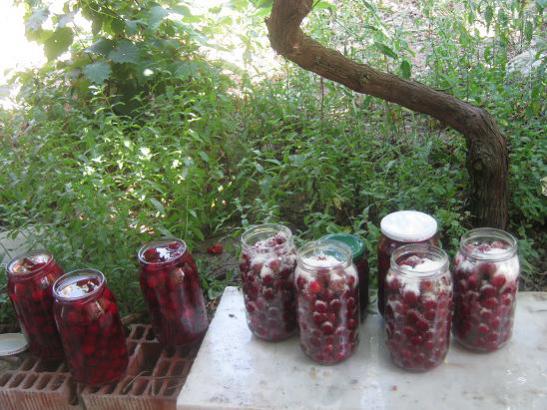Name:  konserve 2.jpg
Views: 1792
Size:  52.0 KB