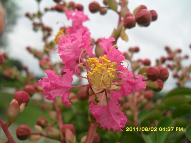Name:  031.jpg
Views: 879
Size:  36.9 KB