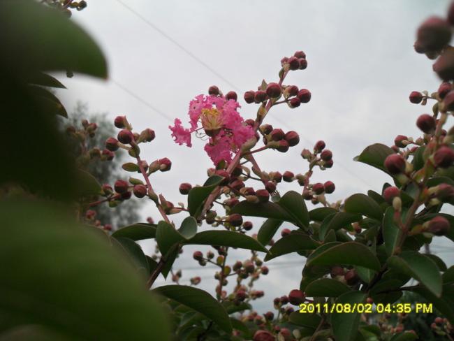 Name:  027.jpg
Views: 875
Size:  39.0 KB