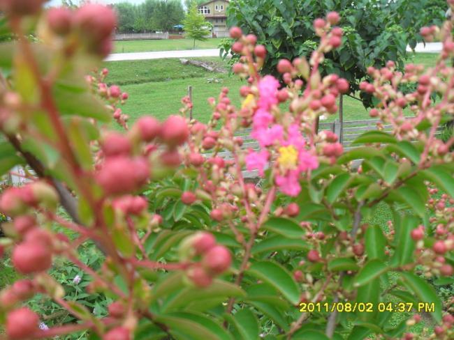 Name:  030.jpg
Views: 909
Size:  56.6 KB