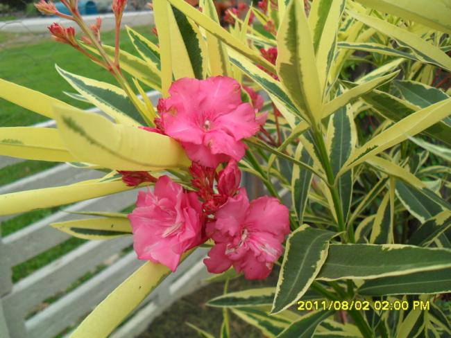 Name:  014.jpg
Views: 1219
Size:  56.1 KB