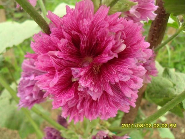 Name:  019.jpg
Views: 1271
Size:  49.8 KB
