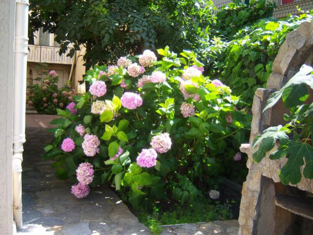 Name:  100_2467.jpg
Views: 380
Size:  67.5 KB