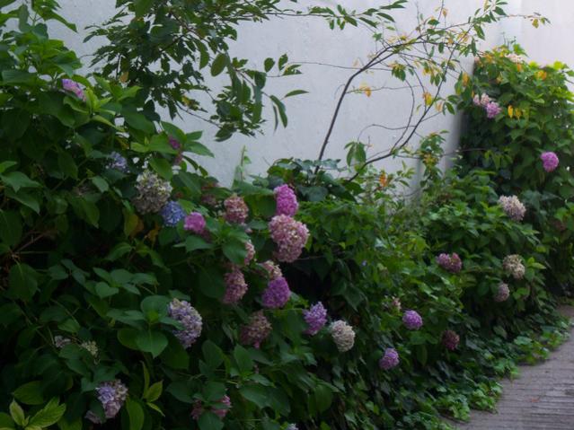 Name:  100_2469.jpg
Views: 354
Size:  57.3 KB