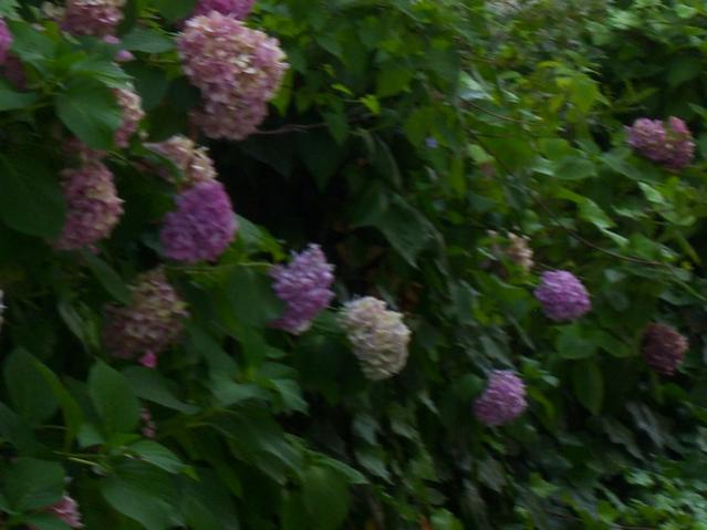 Name:  100_2470.jpg
Views: 387
Size:  37.5 KB