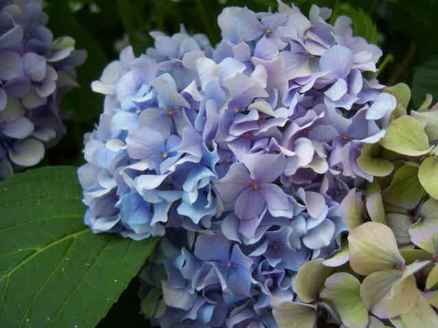 Name:  100_2473.jpg
Views: 375
Size:  45.8 KB