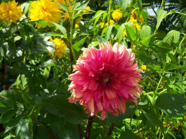 Name:  100_2483.jpg
Views: 358
Size:  61.2 KB