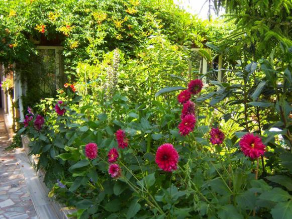 Name:  100_2487.jpg
Views: 364
Size:  73.5 KB