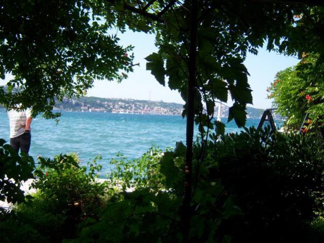 Name:  100_2505.jpg
Views: 366
Size:  62.7 KB