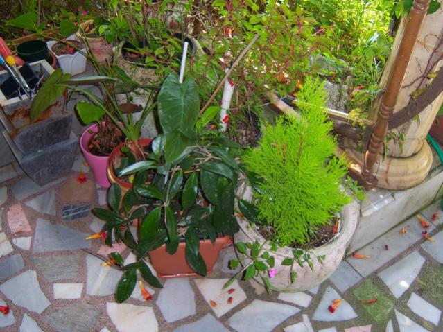 Name:  100_2510.jpg
Views: 353
Size:  66.8 KB
