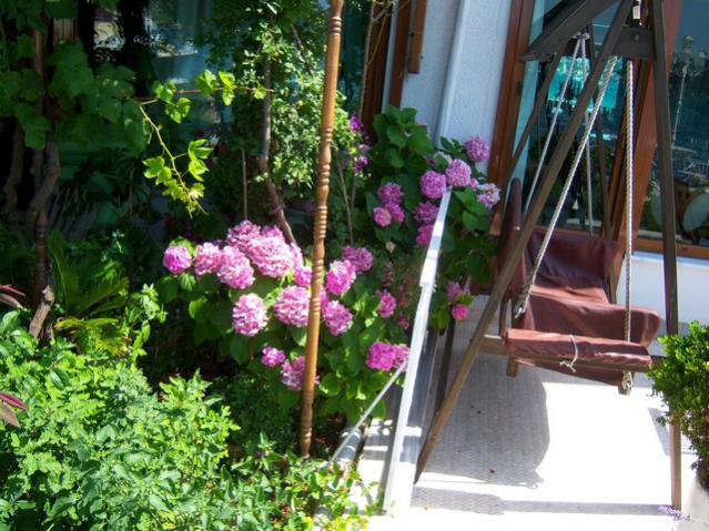 Name:  100_2516.jpg
Views: 353
Size:  69.5 KB