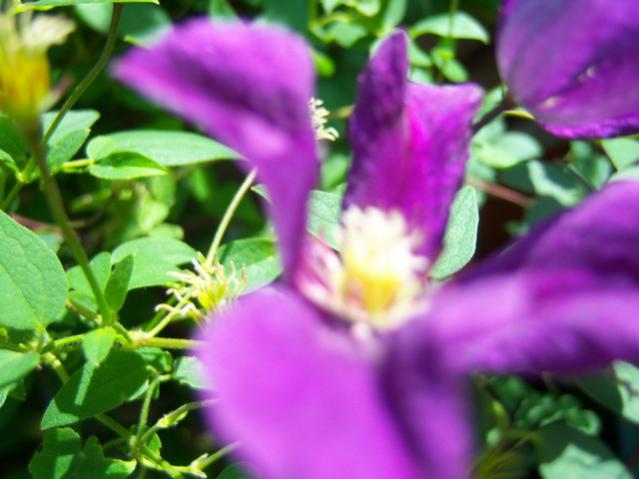 Name:  100_2519.jpg
Views: 352
Size:  38.9 KB